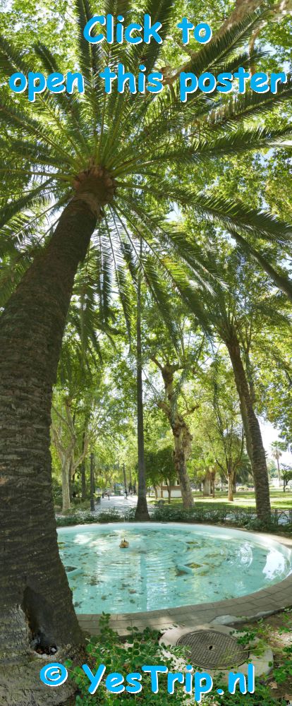 xxx Cordoba, Spain, the town xxx